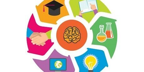 Σπουδές: Ποια κατεύθυνση επιλέγουν οι υποψήφιοι;