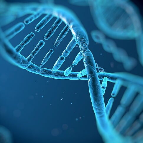 Αποκωδικοποιήθηκε, για πρώτη φορά, το πλήρες ανθρώπινο γονιδίωμα- Τί επισημαίνουν οι ειδικοί