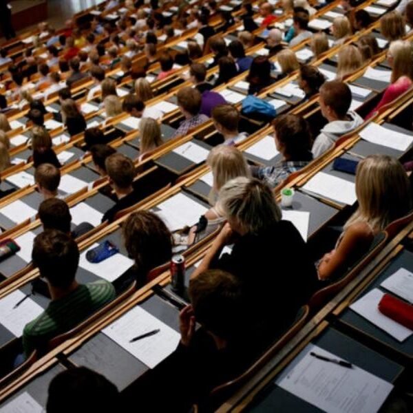 Σχολές με παρόμοιο τίτλο, διαφορετικά δικαιώματα-σχολές με διπλά επαγγελματικά δικαιώματα